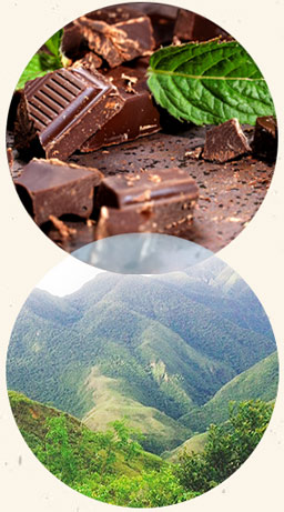 WALKING THE ANDES TO TURN CHOCOLATE INTO MEDICINE