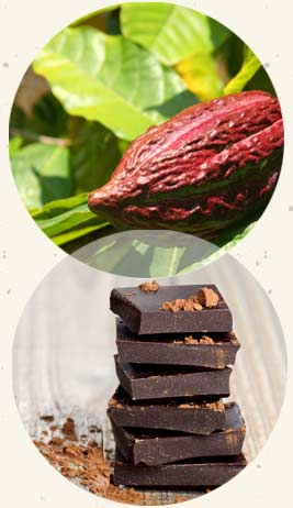 Eliminating the sugar from chocolate