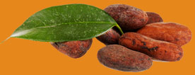 Step by Step process for KukaXoco Chocolate